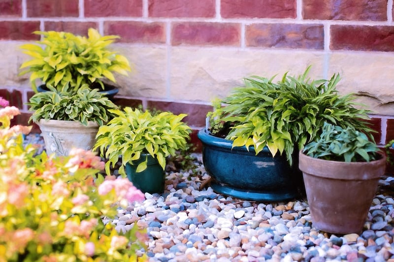 Balcony Garden